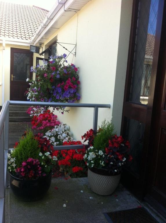 Hillview House Hotel Lusk Buitenkant foto