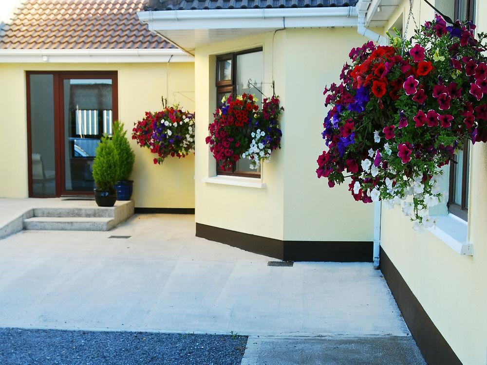Hillview House Hotel Lusk Buitenkant foto